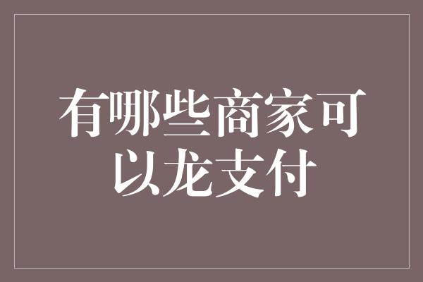 有哪些商家可以龙支付