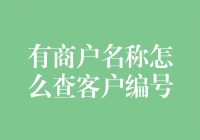 如何通过商户名称查询客户编号：一种实用的数据查询策略