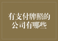 有支付牌照的公司有哪些？——一场金融圈的乔装舞会