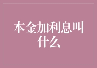 本金加利息叫什么？——我的本金生娃计