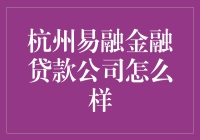 杭州易融金融贷款公司：在风险与机遇中寻找平衡