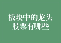 新股迷：如何挑选股市中的龙头？揭秘那些你不可不知的股票！