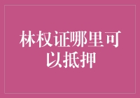 林权证抵押：从理论到实践的探索与实践