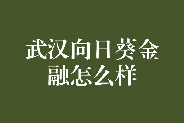 武汉向日葵金融怎么样