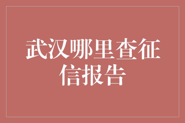 武汉哪里查征信报告