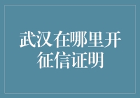 在武汉，征信证明在哪里开？——一本正经的搞笑指南