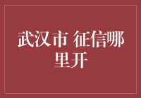 武汉市的信用报告到底去哪儿开？