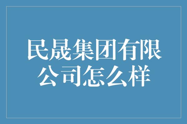 民晟集团有限公司怎么样