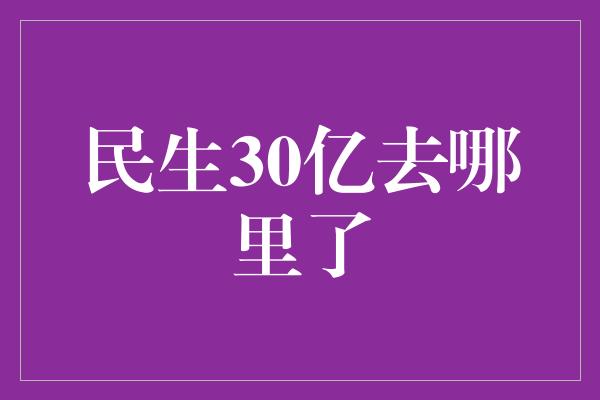 民生30亿去哪里了