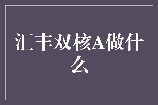 汇丰双核A做什么