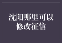 沈阳哪儿可以修改征信？不怕黑历史，就怕你找错了门！