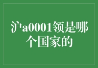 沪A0001领：中国车牌界的名媛，它究竟来自哪个国家？