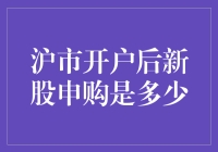 沪市新股申购规则解析：开市后如何高效参与新股申购