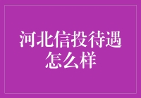 河北信投待遇到底如何？揭秘背后的真相！