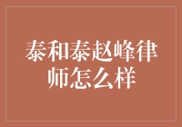 泰和泰律师事务所赵峰律师：法律服务新典范