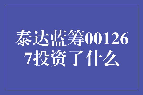 泰达蓝筹001267投资了什么