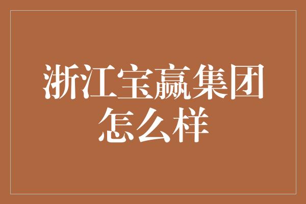 浙江宝赢集团怎么样