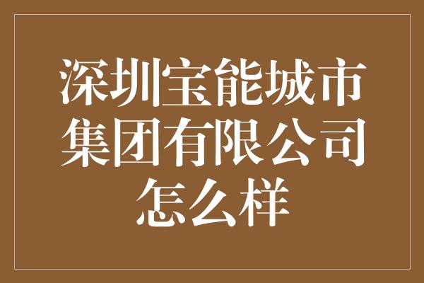 深圳宝能城市集团有限公司怎么样