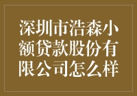 深圳市浩森小额贷款股份有限公司：小额信贷行业内的创新典范