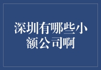 深圳的小额公司：从零到英雄的舞台