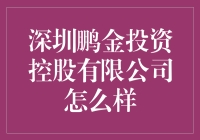 深圳鹏金投资控股有限公司：以稳健专业为企业核心的多元化投资集团解析