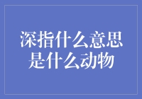 深指是什么？难道是一种新奇的动物吗？