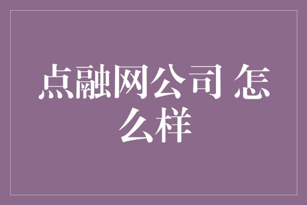 点融网公司 怎么样