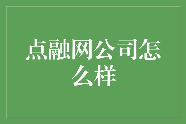 点融网公司怎么样