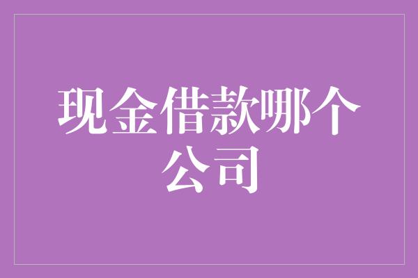 现金借款哪个公司