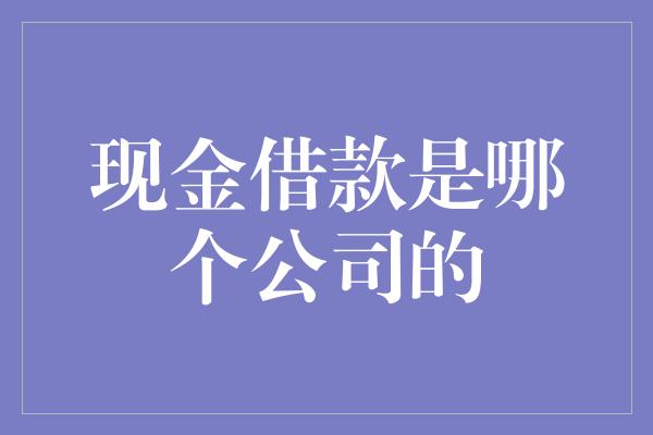 现金借款是哪个公司的