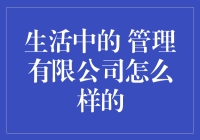 生活中的管理有限公司：如何把日子过成CEO