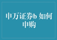 申万证券B：探索在线股票申购新途径