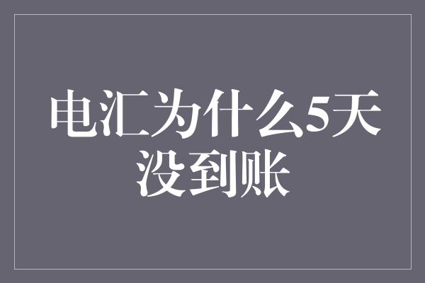 电汇为什么5天没到账