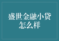 盛世金融小贷：适合新手投资的小额贷款平台？