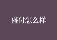 盛付：以科技之力，重塑支付行业的未来