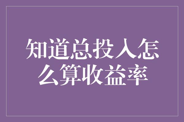 知道总投入怎么算收益率