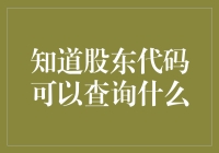 股东代码查询指南：解锁股东权益的新视角