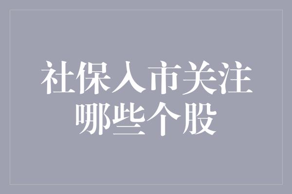 社保入市关注哪些个股