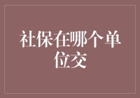 社保在哪个单位交：职场人士必备知识解析