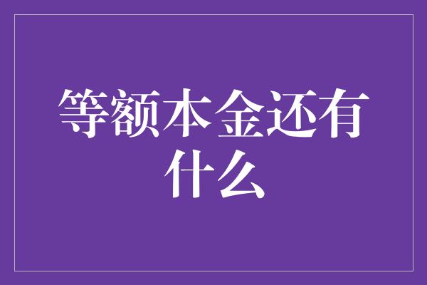 等额本金还有什么