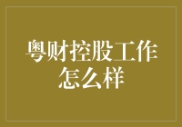 粤财控股：从金库守护者到金融魔术师——一场粤派大逃杀