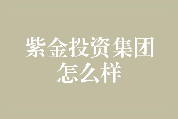 紫金投资集团怎么样