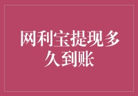 网利宝提现，理财之路上的急先锋是怎样的体验？