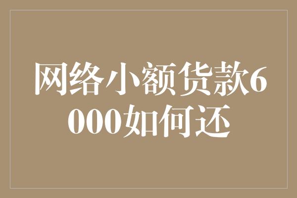 网络小额货款6000如何还