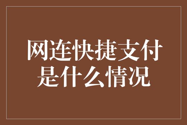 网连快捷支付是什么情况