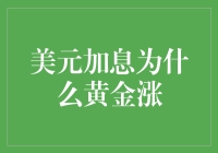 美元加息之下，黄金为何仍能涨势如虹：探寻背后的多重逻辑