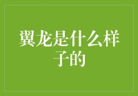 翼龙：如果恐龙也有身份证，那么它可能是这样的