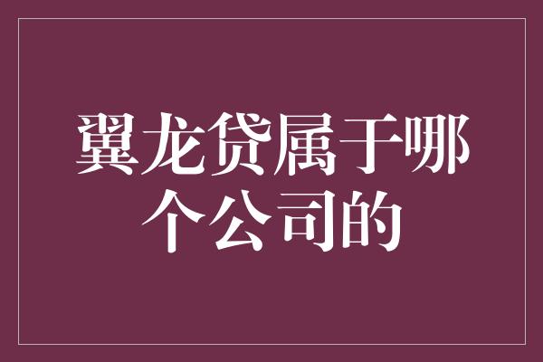 翼龙贷属于哪个公司的