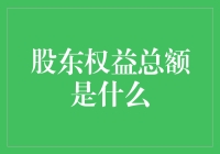 股东权益总额：企业财务健康的关键指标