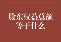 股东权益总额：企业财务健康与股东价值的内在关联